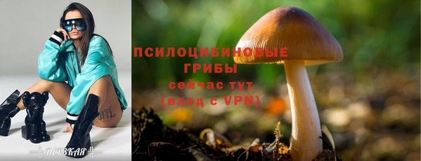 прущая мука Киреевск